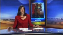 Pedobear Spotted Roaming New Mexico, Attorney General Warns