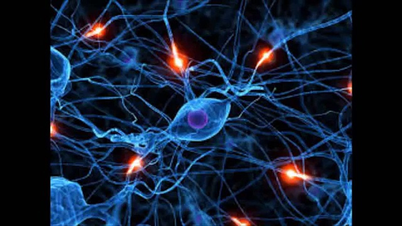 sinapsis neuronal