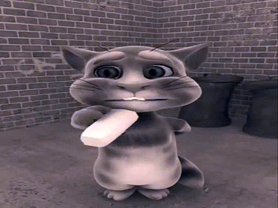 gatto parlante con accento siciliano
