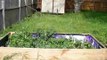 EASY RAISED GARDEN BED - HOW-TO DIY ( START GROWING )