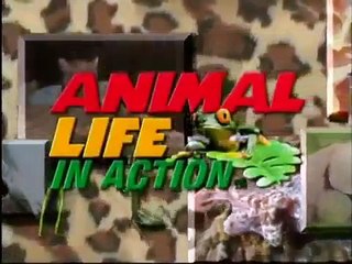 The Food Chain in the Wild    Animal Life In Action   Full Documentary cMZKgvWTvkg