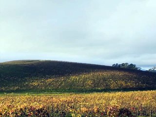 The Sad Truth about the Windows XP Wallpaper