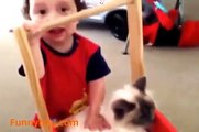 FUNNY VIDEOS Funny Cats Funny Cat Videos Funny Animals Cute Pets Try Not To Laugh 2015