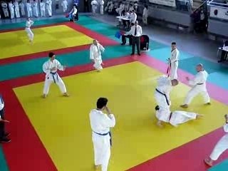 Finale Coupe de France Taï Jitsu 2007