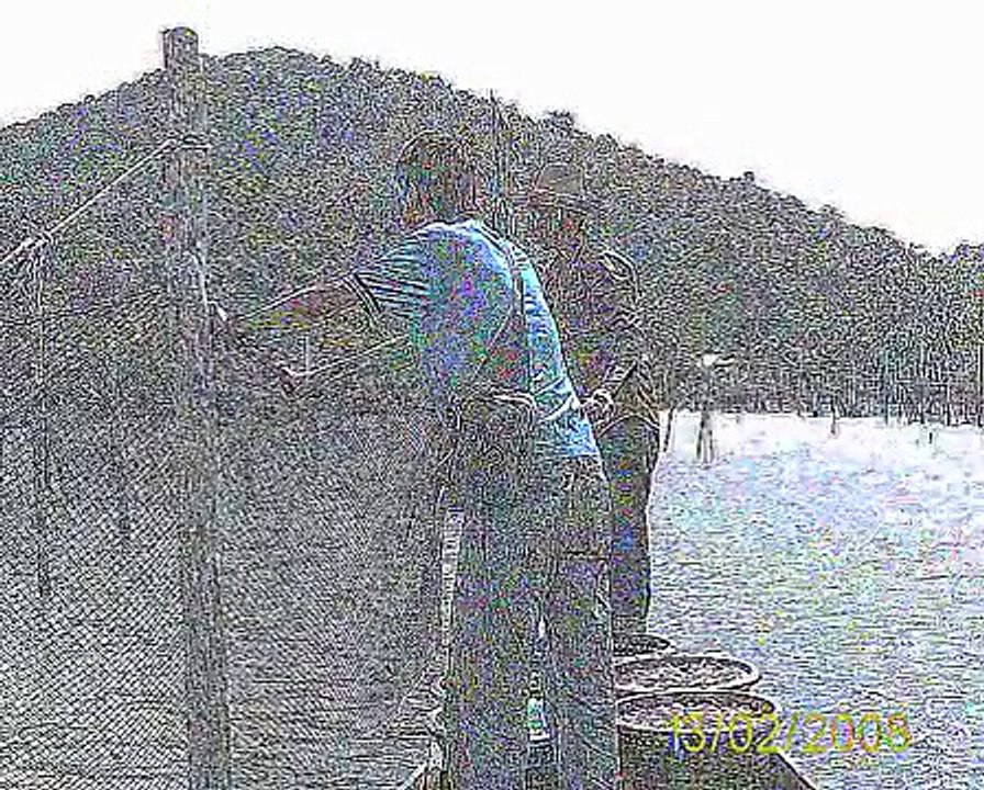 Fish Farming