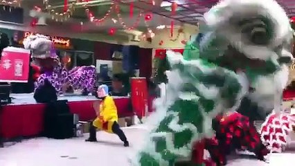 Mua lan celebrate Vietnamese New Year 2012