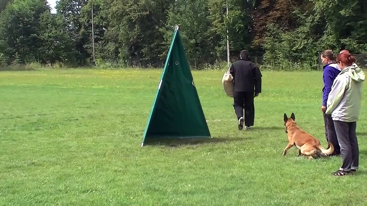 Multicup 2010 LET'S GO WHISKY from Mike's Place (OBM)- Ag. Kierzenkowska - B