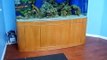 Shakes fishtanks... 300 gallon Saltwater Aquarium with Sharks Vol 1