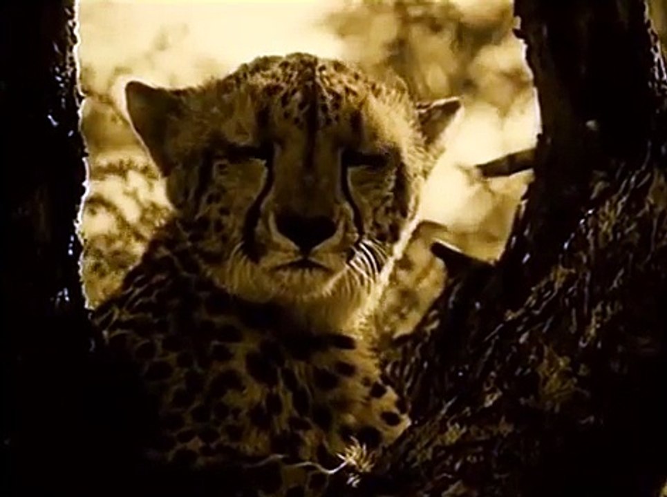 Sandra‎ - Johnny Wanna Live (Music Video)