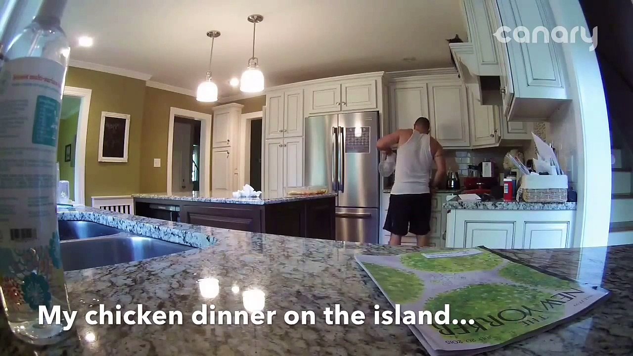 Débile de chat saute directement sur la tarte de son maitre