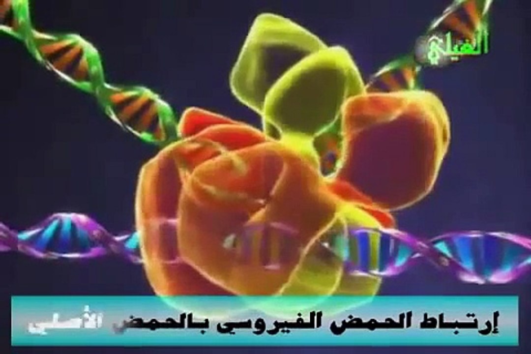 دورة حياة فيروس الإيدز..HIV Replication Cycle