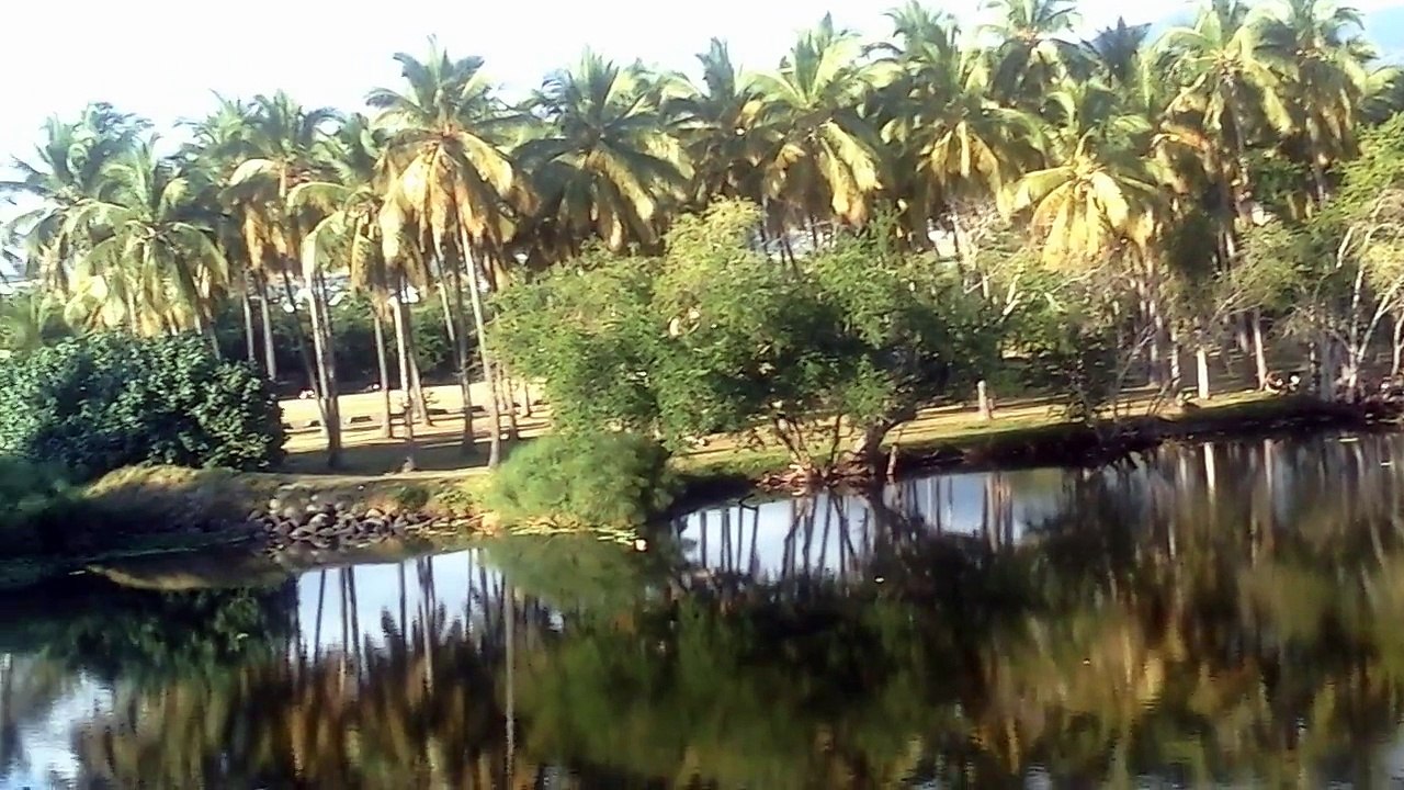 Sur la Passerelle de L'Étang St Paul Île de la Réunion.
