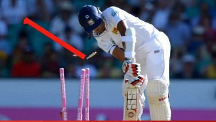 Watch Best Funny Ipl T20 Cricket Shots