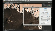 Photoshop tutorial: Smart Objects and sharpening | lynda.com