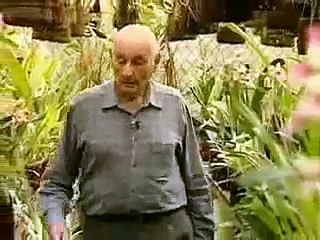 Ambientalista brasileiro dedica a vida às orquídeas