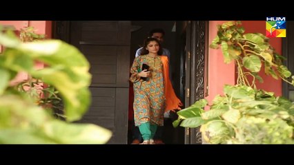 Ye Kya Hogaya Eid Special Drama Full HUM TV Drama 18 July 2015
