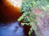 Amazon River - From Manaus, Brazil Video 1