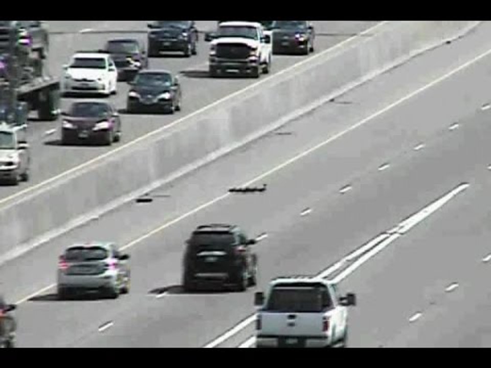 Une cane et ses canetons traversent une autoroute