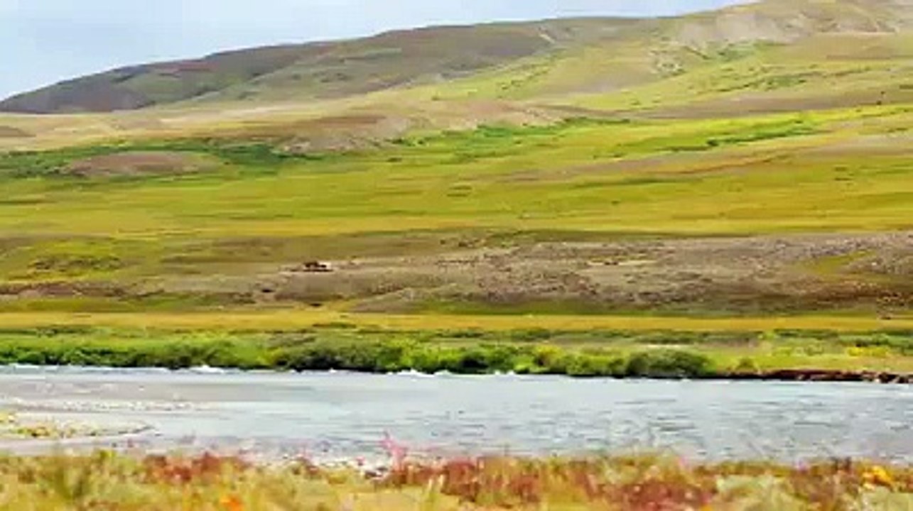 Deosai national Park Gilgit Baltistan