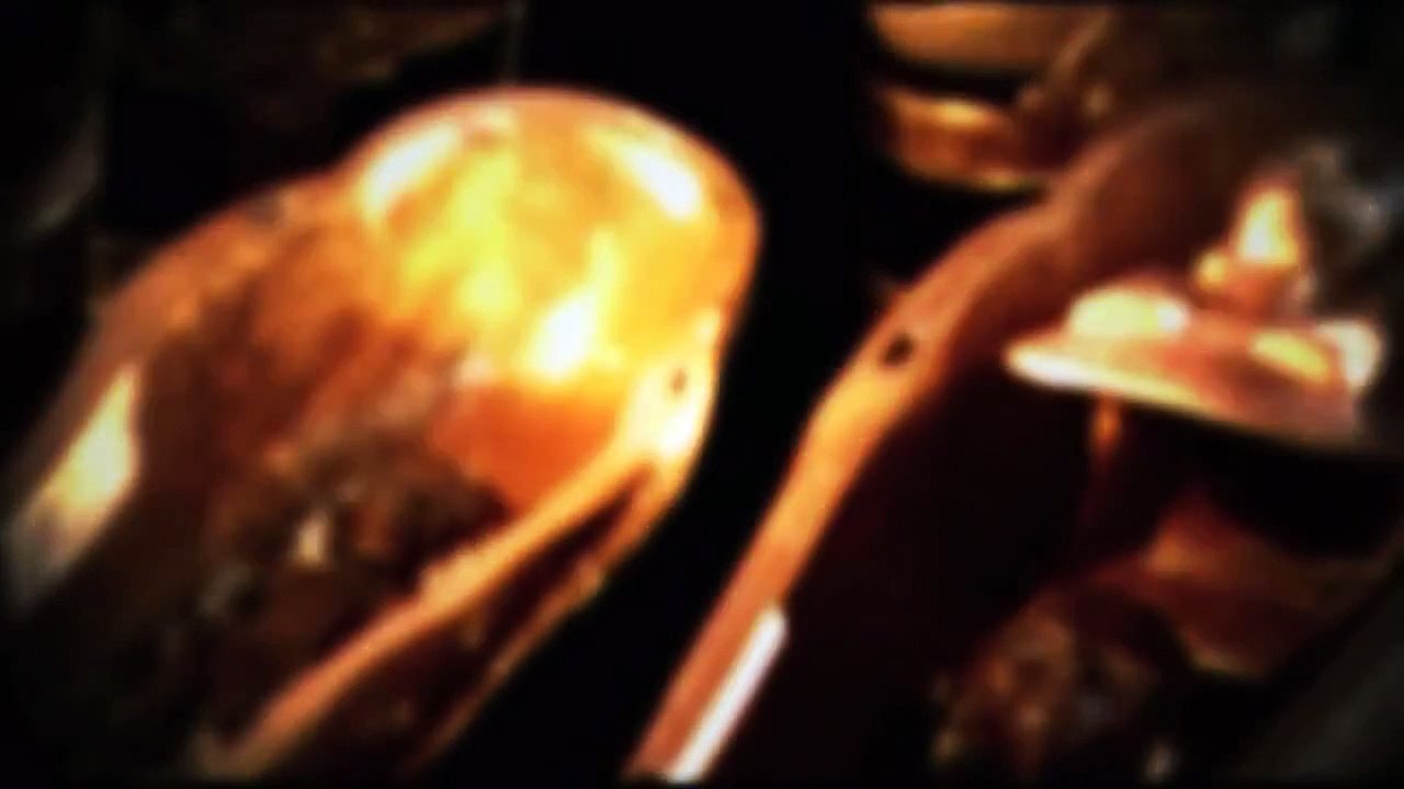 TUTANKHAMUN - His Tomb and his Treasures