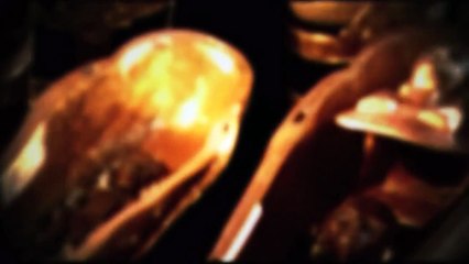 TUTANKHAMUN - His Tomb and his Treasures