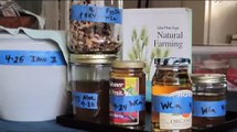 Natural Farming- Cultivating Indigenous Microorganisms (IMO)