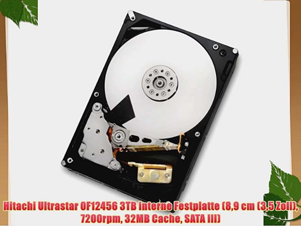 Hitachi Ultrastar 0F12456 3TB interne Festplatte (89 cm (35 Zoll) 7200rpm 32MB Cache SATA III)