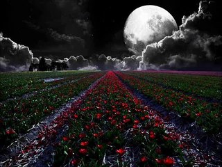 Tekken Tag Tournament 2 OST Plucking Tulips  Dark Version