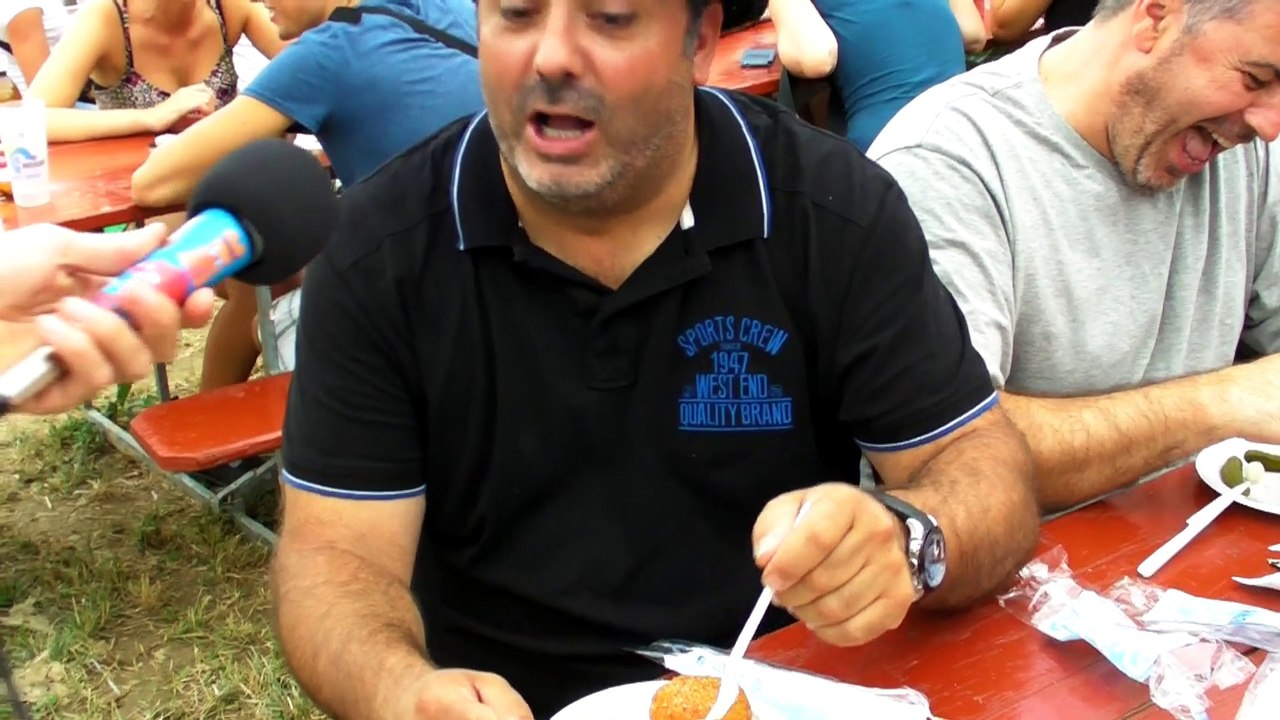 Paléo 2015 - Zapping du vendredi