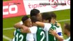 1-0 Markus Pink Goal Austria Bundesliga - 25.07.2015, Mattersburg 1-0 RB Salzburg