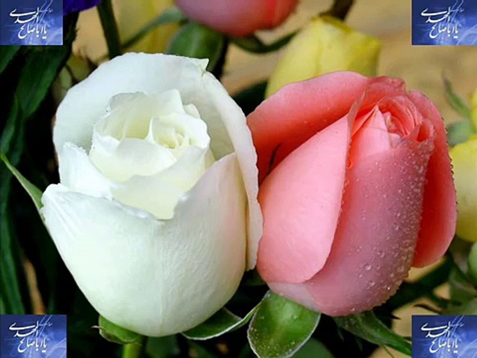 Imam Mahdi Song