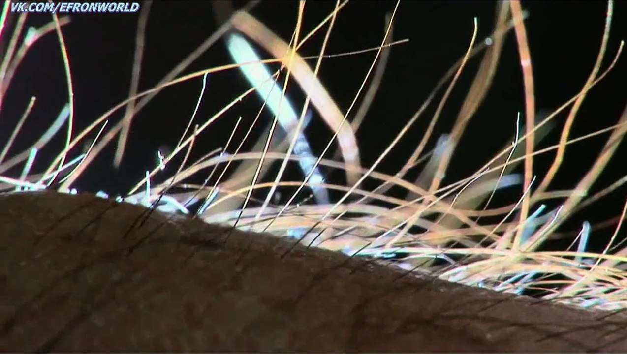 We Are Your Friends - Official Trailer 2 [HD] с субтитрами