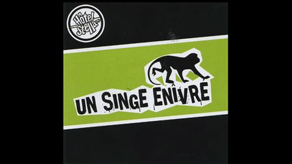 Hotel Stella - Fier de ta vie - Un singe enivré