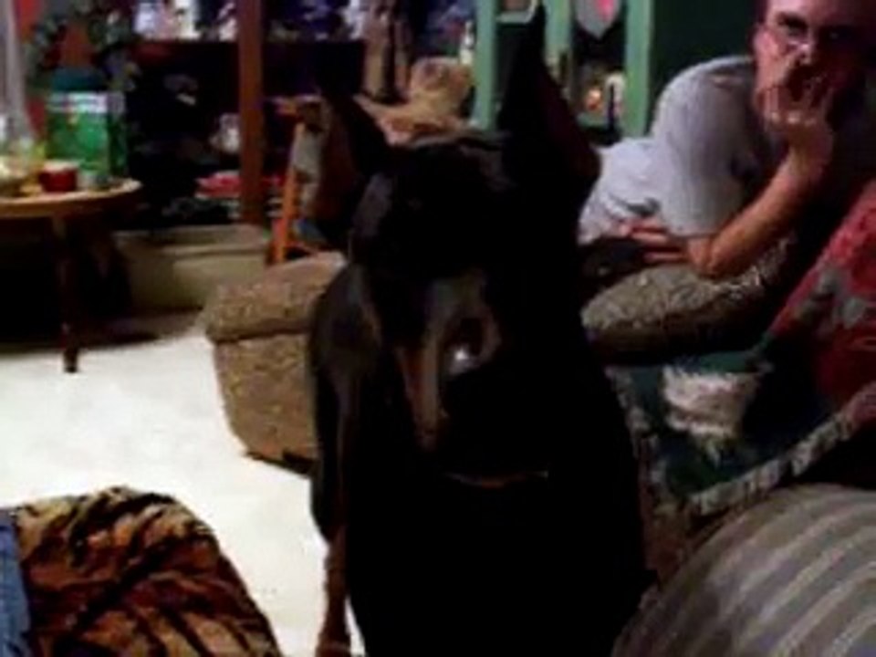 Darmok and the Socks