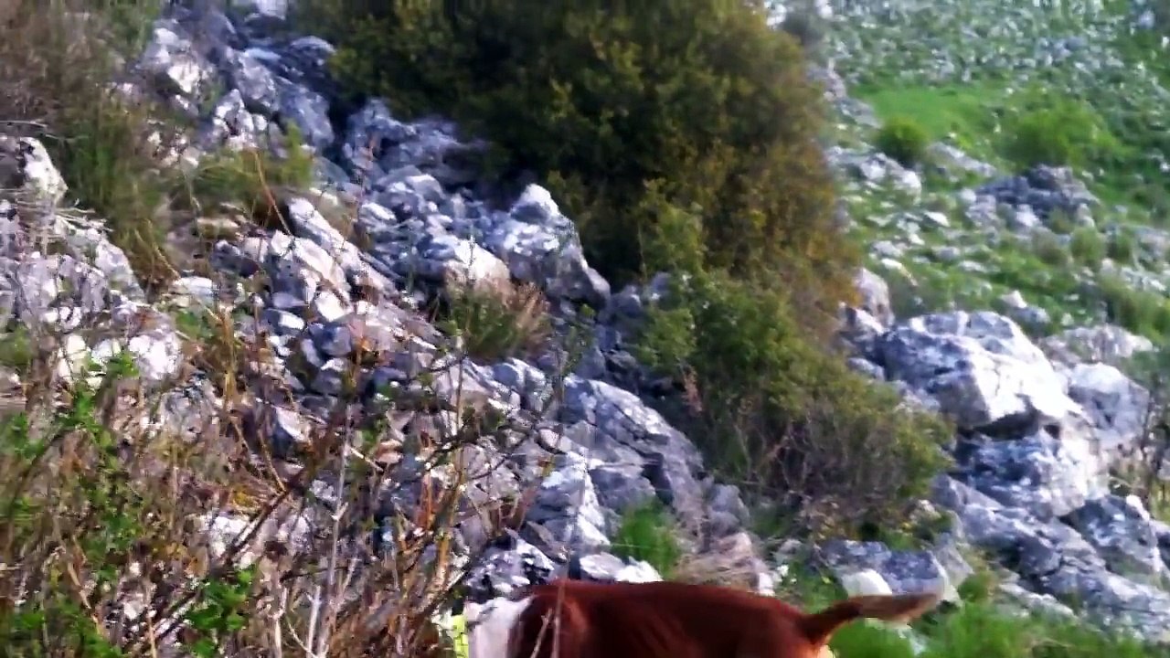 εκπαιδευτικο λαγου ποσαβατς γκεκας(2) 2015