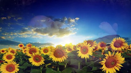 World In A Sentence -By Jason Silva