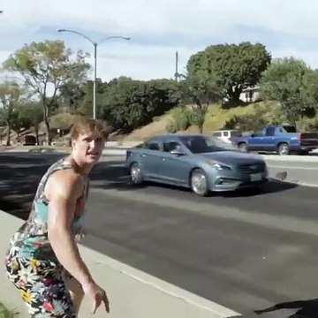 Sauvetage acrobatique d'un chat sur la route