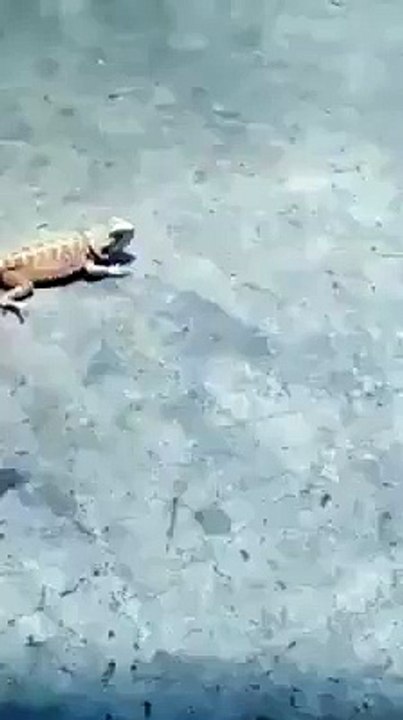 funny running