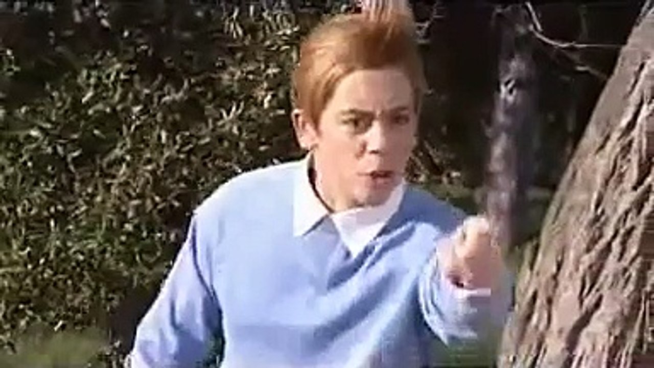 Tintin en Kangoo
