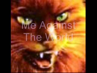 Warrior Cats Theme Songs