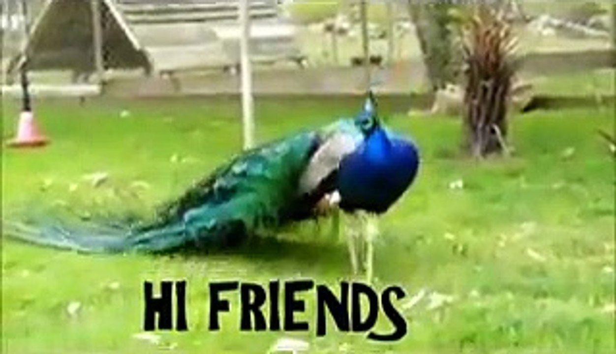 VID-20150718-WA0001.mp4