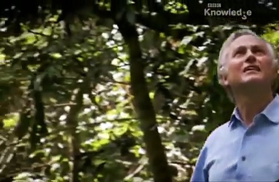 Richard Dawkins - Geniusz Darwina odc. 1 [CAŁY FILM]