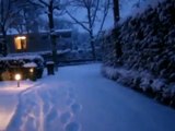 الثلوج في لاهاي هولندا 2013م عدسة مها الوابل
