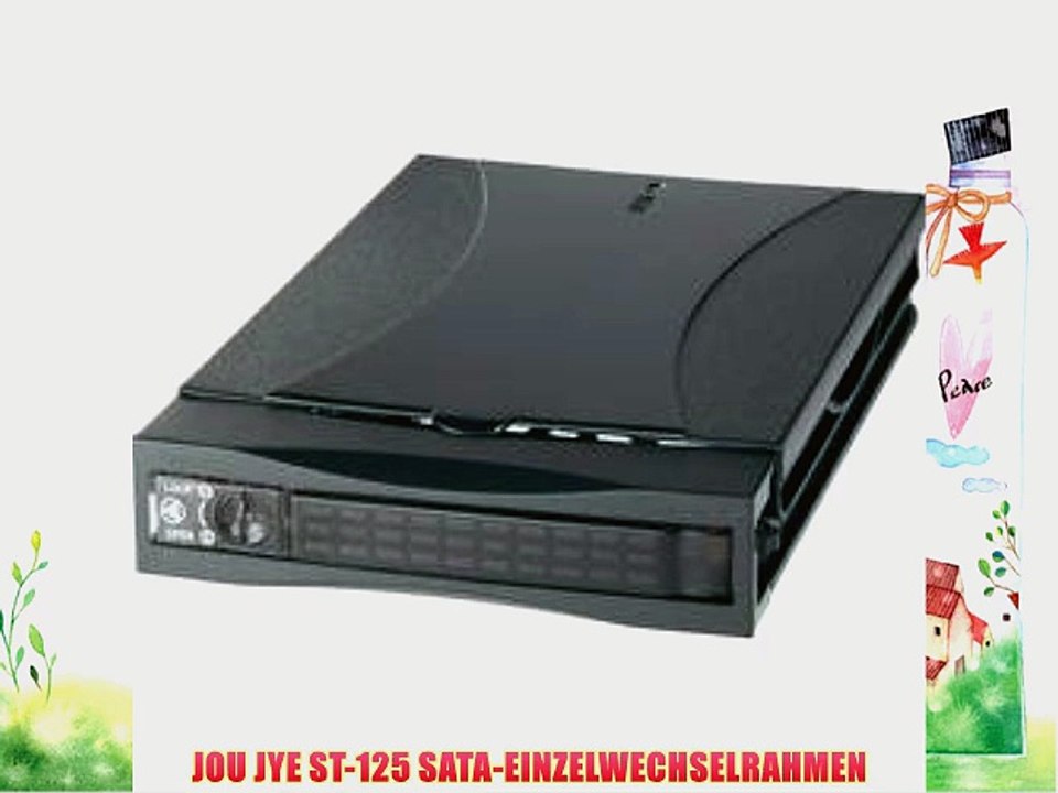 JOU JYE ST-125 SATA-EINZELWECHSELRAHMEN