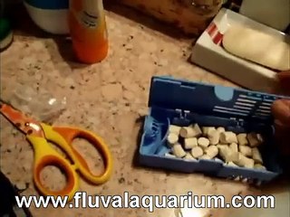 Fluval U1, U2, U3, U4 Filter Setup
