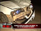 Acidente na br 163 entre um carro e um animal em Guarantã do Norte