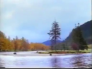 (1) Funniest Short Videos_3 beer