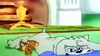tom and jerry new 9