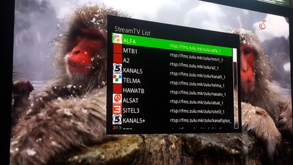 Internet TV Stream IPTV Vu+ Solo 2 RTSP / RTMP Protocol