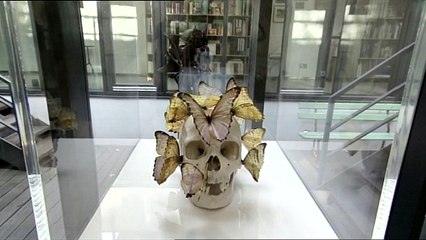 Philosophie. La Culture. Extrait#01